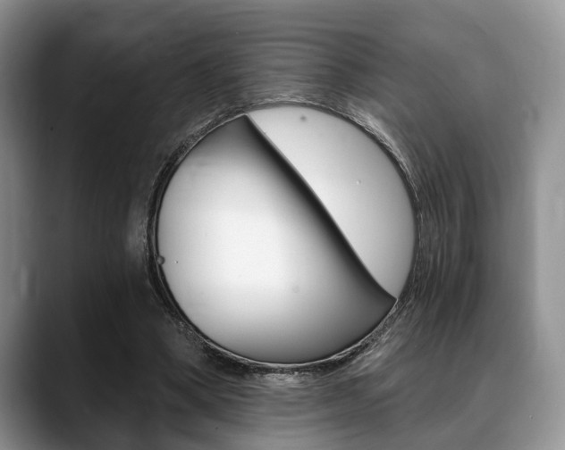 X0000088890394200706080811
