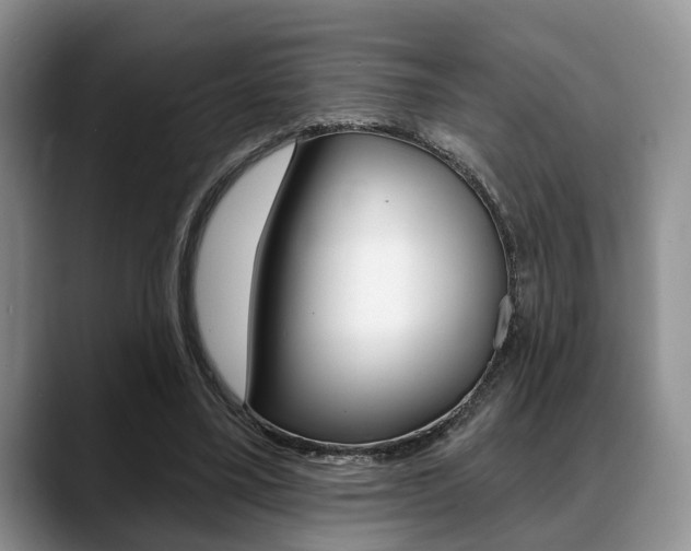 X0000088890395200706080811
