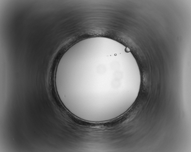 X0000088890396200706080811