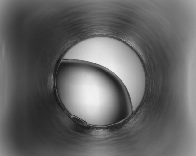 X0000088890397200706080811