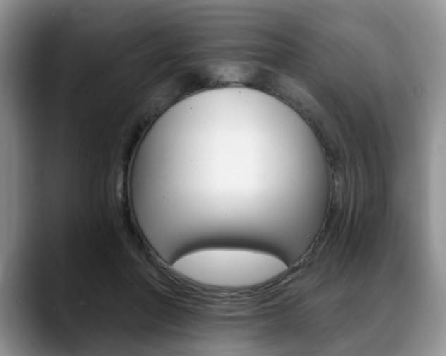 X0000088890406200706080810