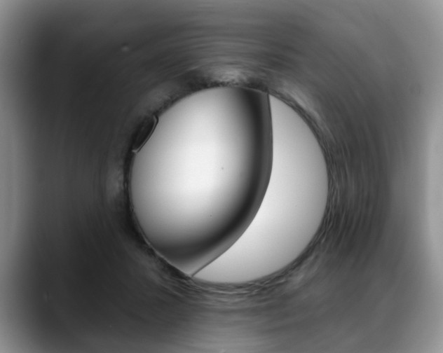 X0000088890407200706080810
