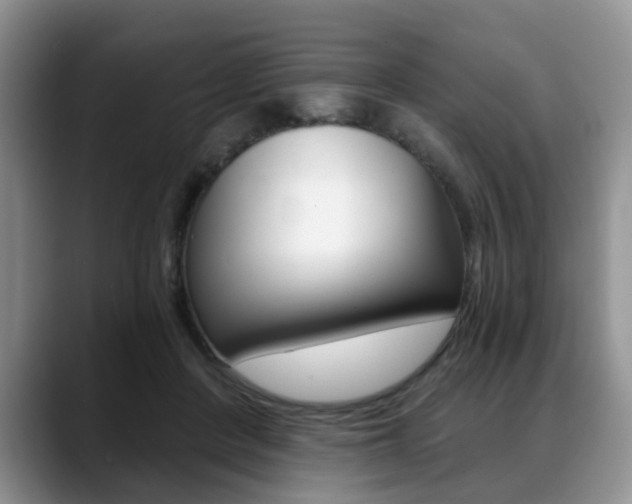 X0000088890408200706080810