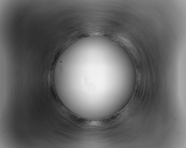 X0000088890409200706080810