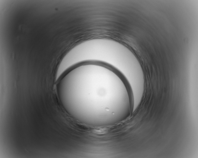 X0000088890411200706080810