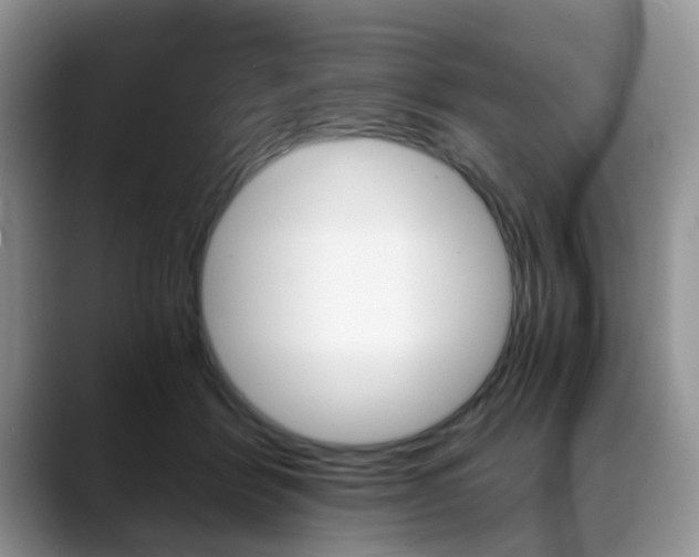 X0000088890412200706080810