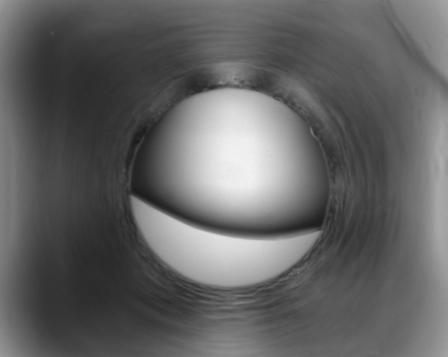 X0000088890413200706080810