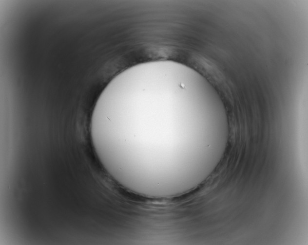 X0000088890414200706080810