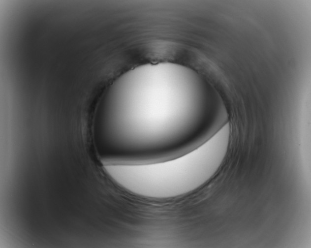 X0000088890416200706080810