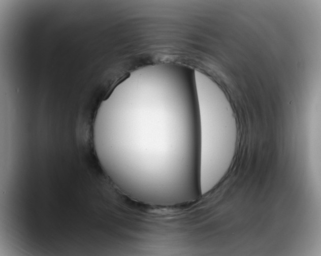 X0000088890417200706080810