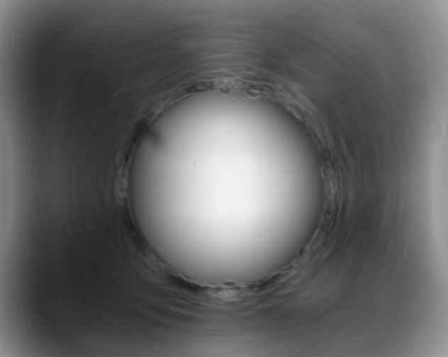 X0000088890419200706080810