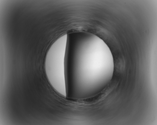 X0000088890420200706080810
