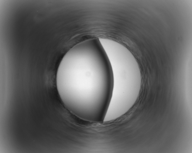 X0000088890421200706080810