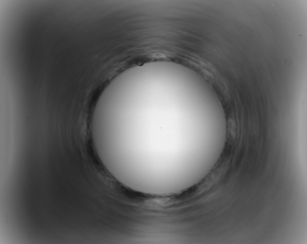 X0000088890422200706080810