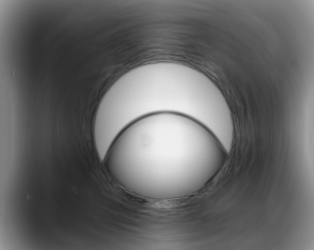 X0000088890423200706080810