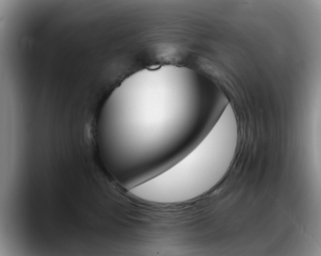 X0000088890424200706080810