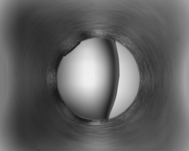 X0000088890425200706080810