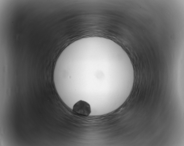 X0000088890428200706080810