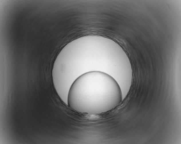 X0000088890429200706080810