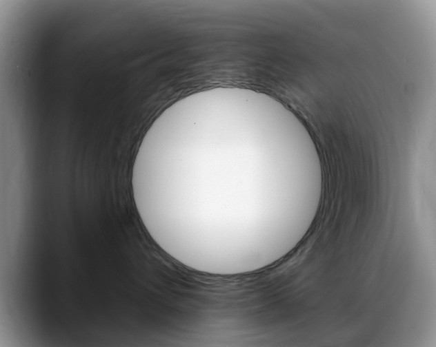 X0000088890432200706080810