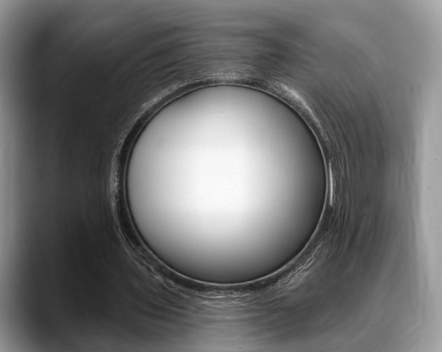 X0000088890435200706080809
