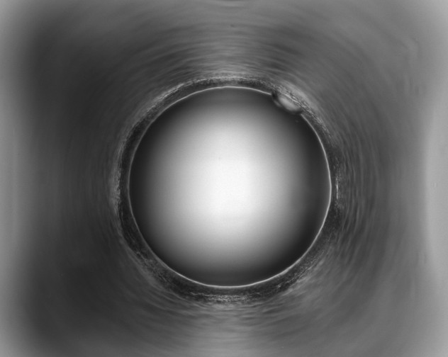 X0000088890436200706080809