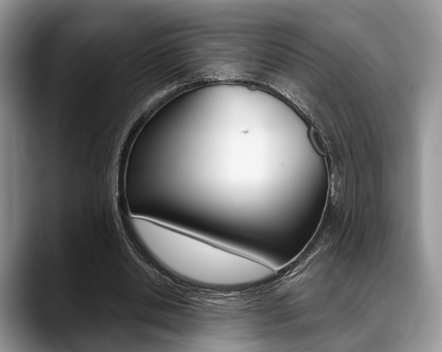 X0000088890438200706080810