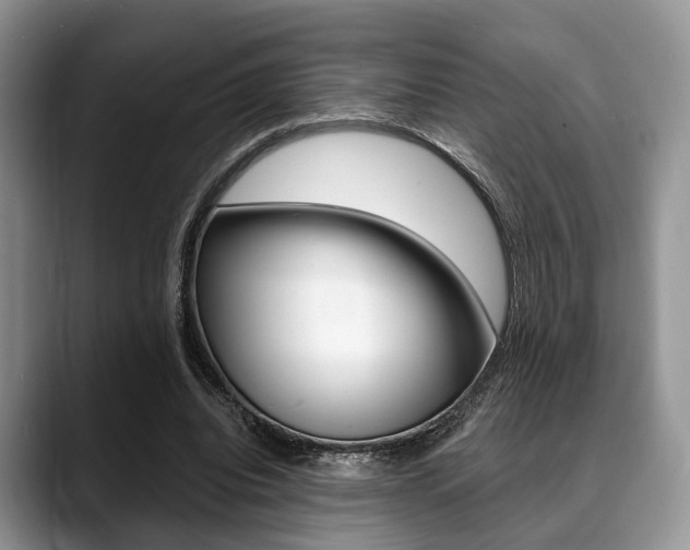 X0000088890440200706080810