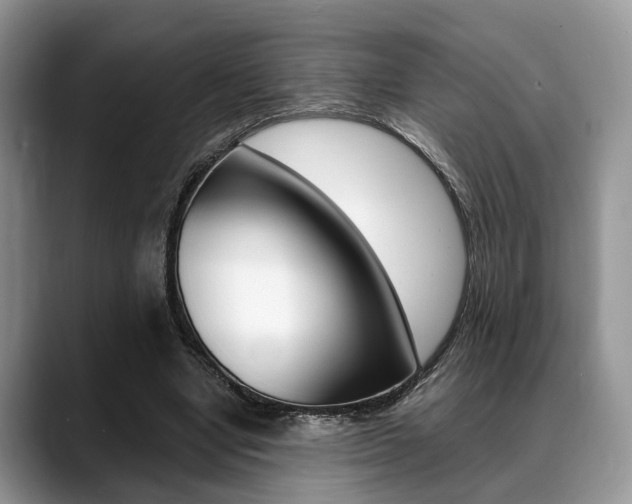 X0000088890442200706080810