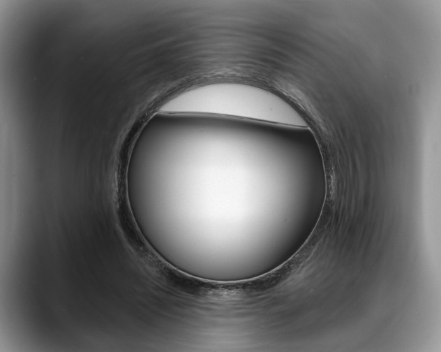 X0000088890444200706080810