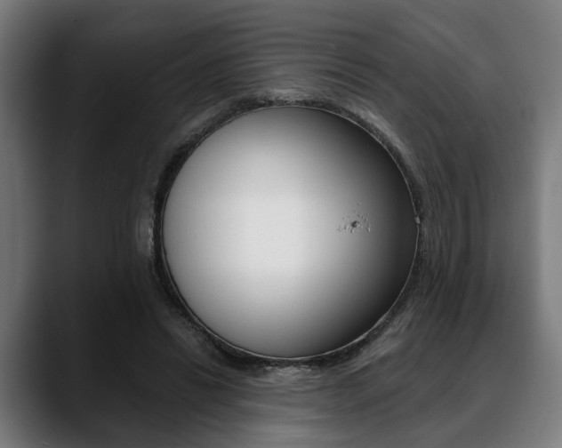 X0000088890446200706080810