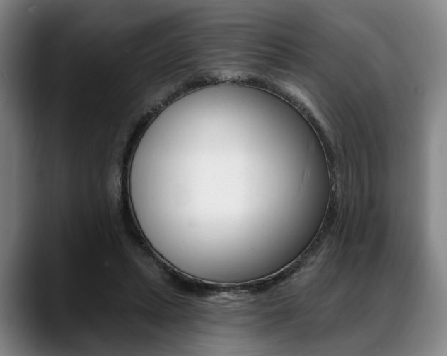 X0000088890447200706080810