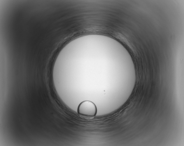 X0000088890448200706080810