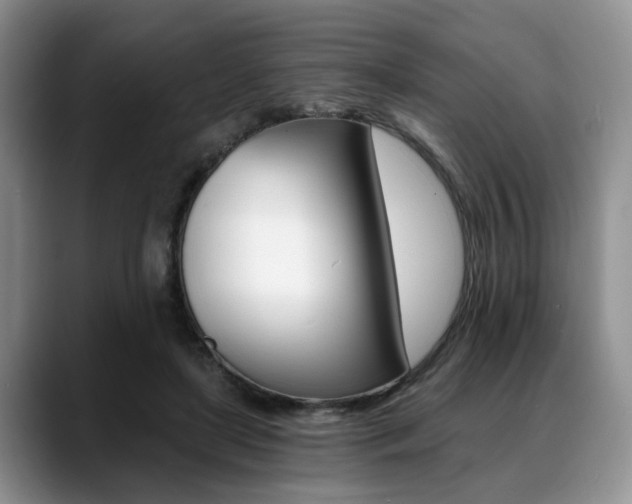 X0000088890451200706080810