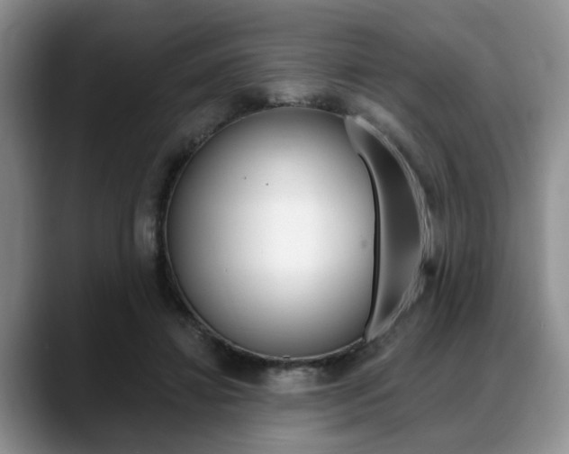 X0000088890452200706080810