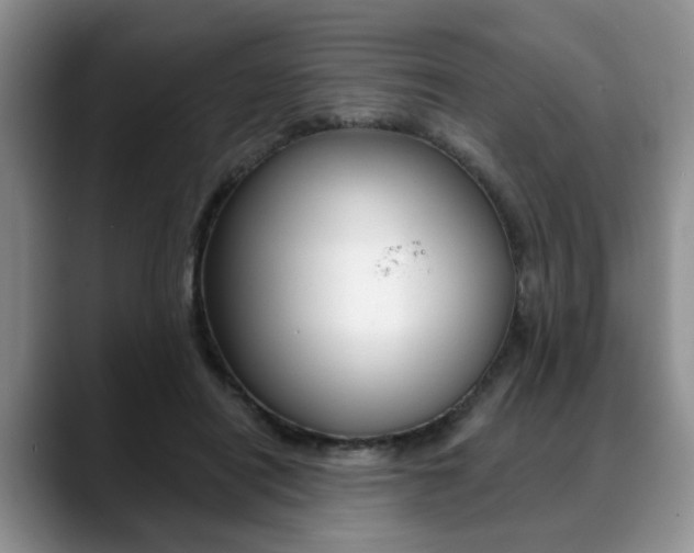X0000088890454200706080810