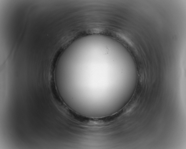 X0000088890455200706080810