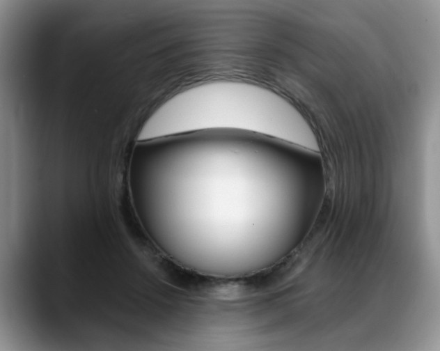 X0000088890456200706080810