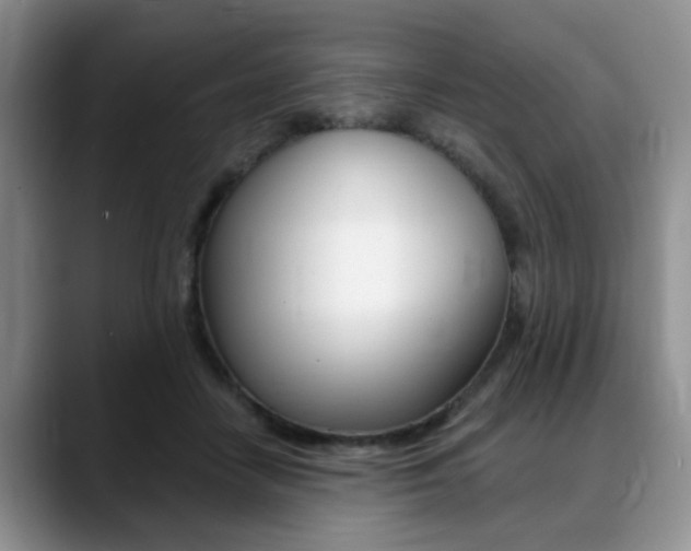 X0000088890458200706080810