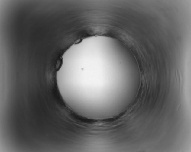 X0000088890460200706080810