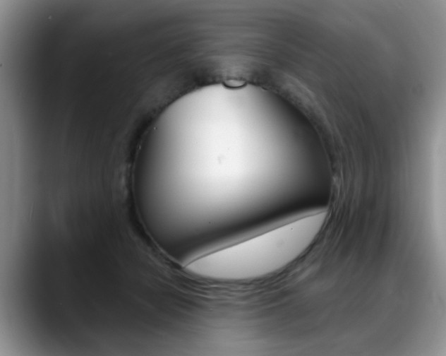 X0000088890462200706080810