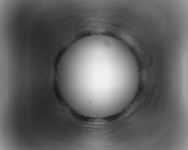 X0000088890463200706080810