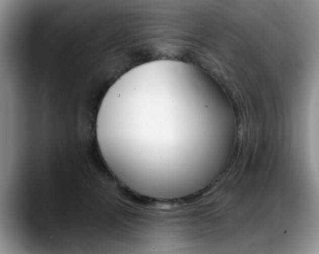 X0000088890464200706080810
