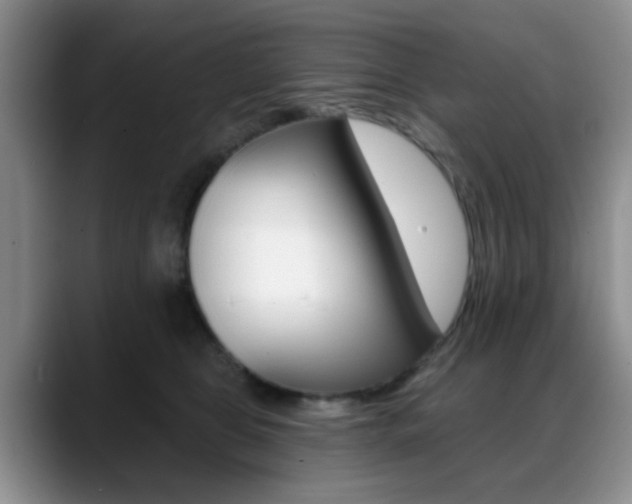 X0000088890469200706080810