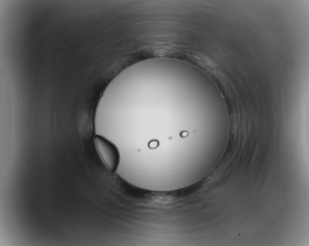 X0000088890471200706080810