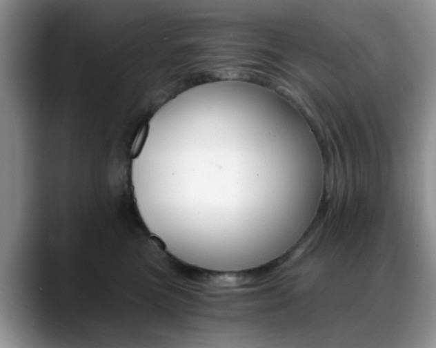 X0000088890473200706080810