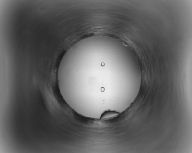 X0000088890475200706080810