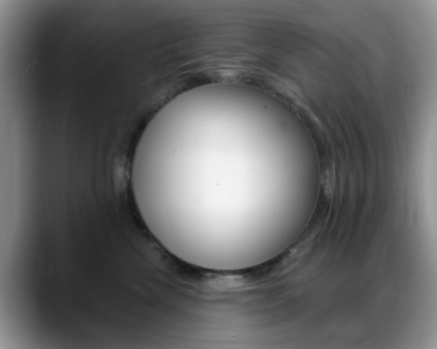 X0000088890476200706080810