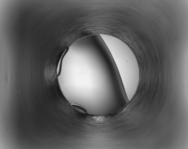 X0000088890478200706080810