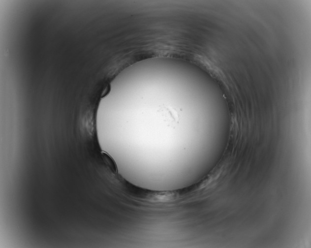 X0000088890479200706080810